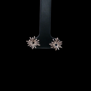 Aretes Casiopea