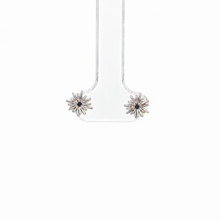 Aretes Casiopea