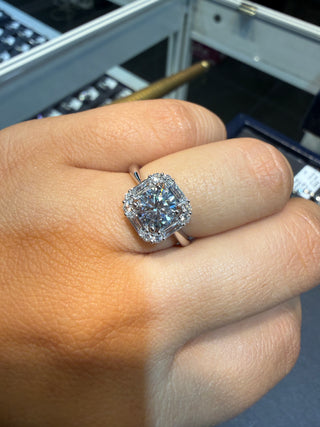 ANILLO Halo tipo Ascher - LAB- TALLA 6